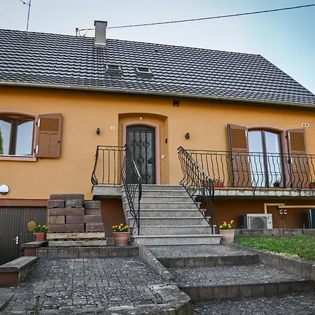 Holiday home Grande Maison De L'oree Des Vignes Pfaffenheim