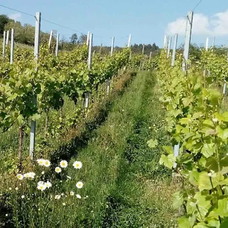 Holiday home Grande Maison De L'oree Des Vignes