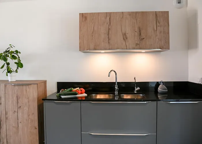 Grande Maison De L'oree Des Vignes Pfaffenheim