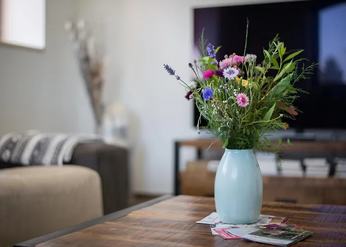 Grande Maison De L'oree Des Vignes Pfaffenheim